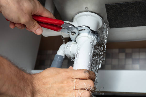 Best Residential water damage restoration  in Hodgkins, IL