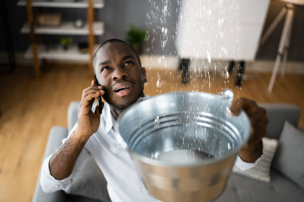Best Water damage restoration near me  in Hodgkins, IL