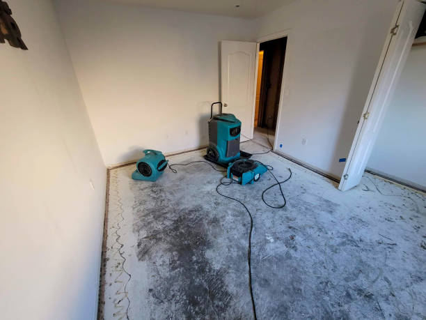 Sewage cleanup and water damage restoration in IL