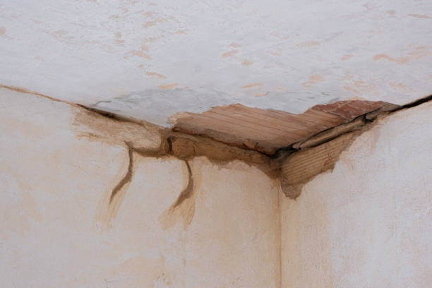 Best Water damage cleanup near me  in Hodgkins, IL