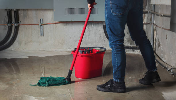 Best Local water damage restoration  in Hodgkins, IL