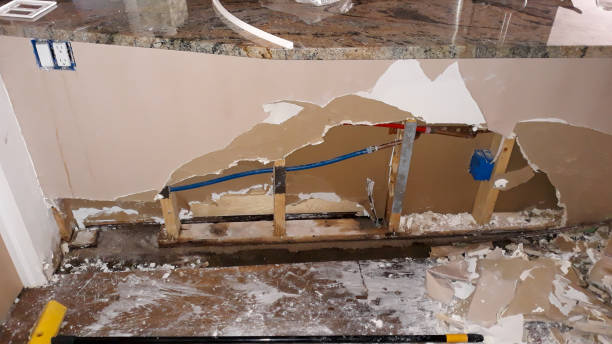 Best Carpet water damage restoration  in Hodgkins, IL