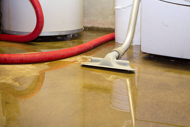 Best Water damage restoration near me  in Hodgkins, IL