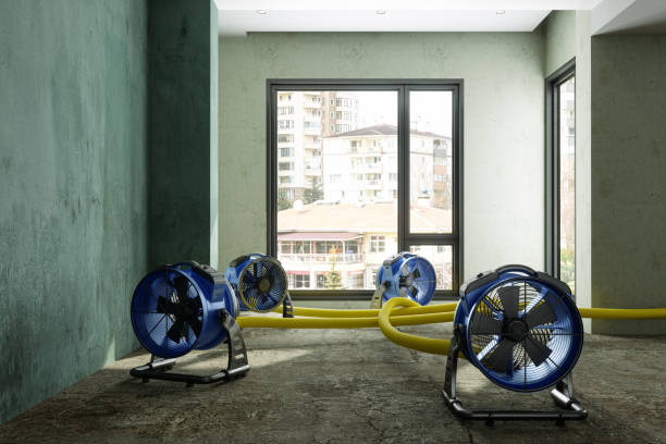 Best Water damage restoration cost  in Hodgkins, IL