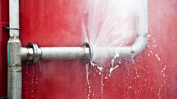 Best Water damage contractors near me  in Hodgkins, IL